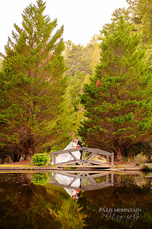 Indigo Falls Wedding Photogrpaher-161