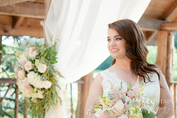 Indigo_Falls_Wedding-94