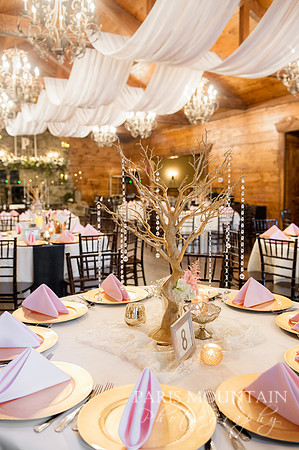 Indigo_Falls_Wedding-160