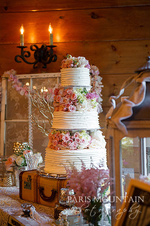 Indigo_Falls_Wedding-163