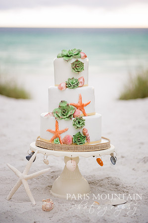 Destination_Beach_Wedding-396