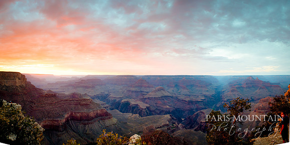 Arizona-220