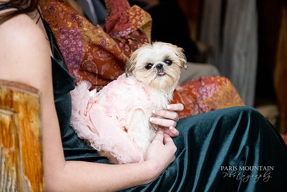 Muse Farms Wedding Photographer-70