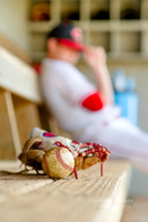 Baseball Senior Portraits-32
