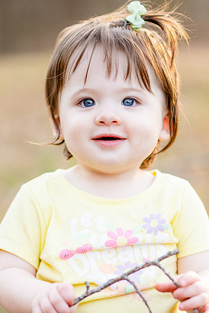 Harper-4