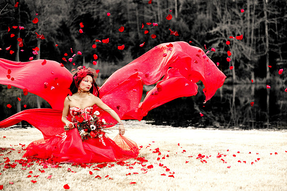 Geisha 1