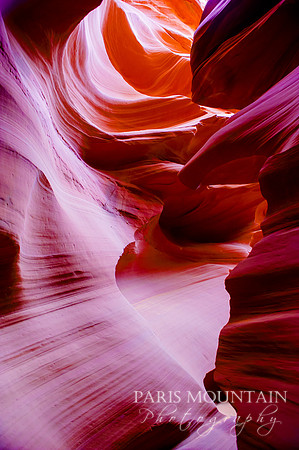 Arizona-298