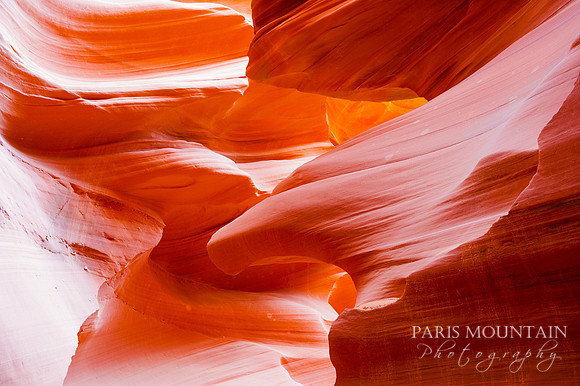 Arizona-302