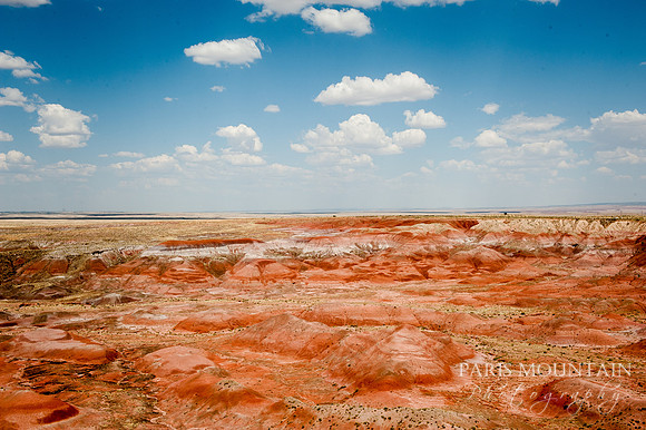 Arizona-384