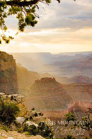 Arizona-215