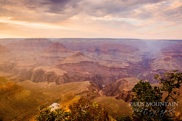 Arizona-218