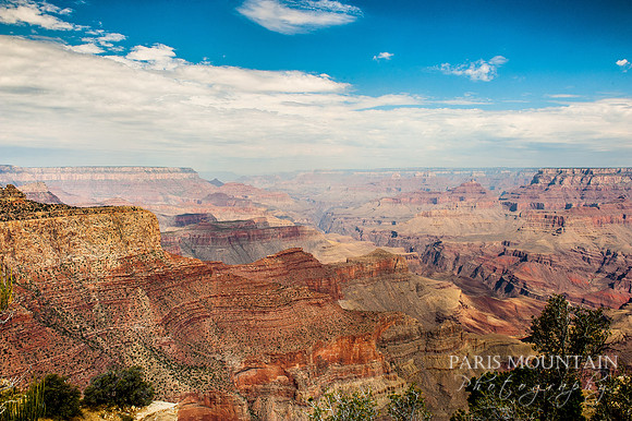 Arizona-228