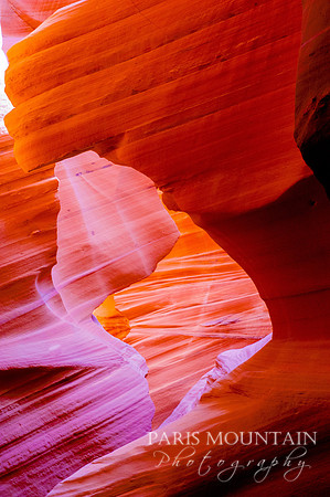 Arizona-249