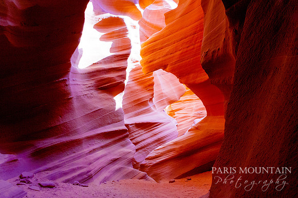 Arizona-251