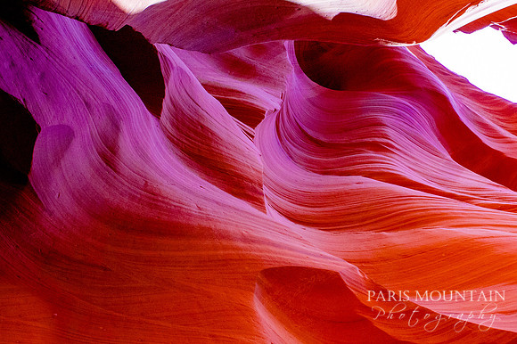 Arizona-252