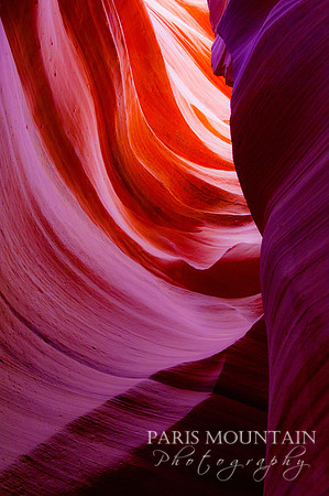 Arizona-255