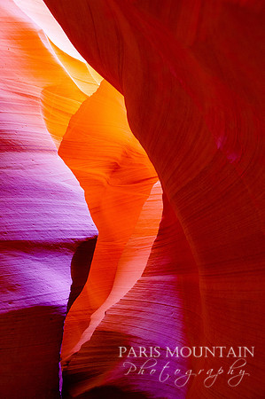 Arizona-258