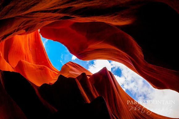 Arizona-261
