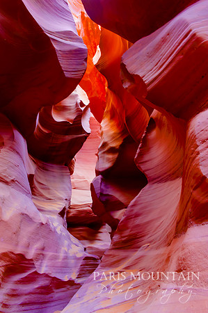 Arizona-263
