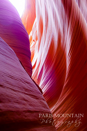 Arizona-286