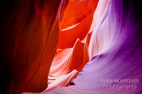 Arizona-287