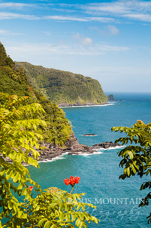 Hawaii-242