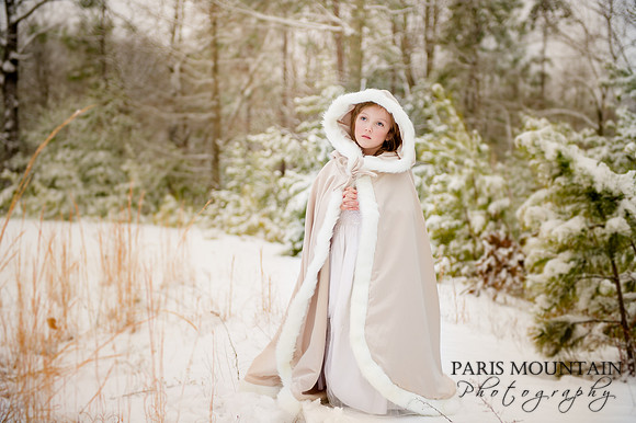 snow-1