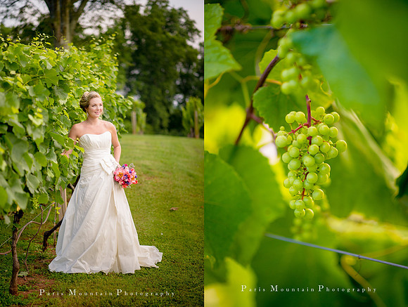 Chateau_Elan_Wedding8