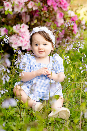 Harper-1