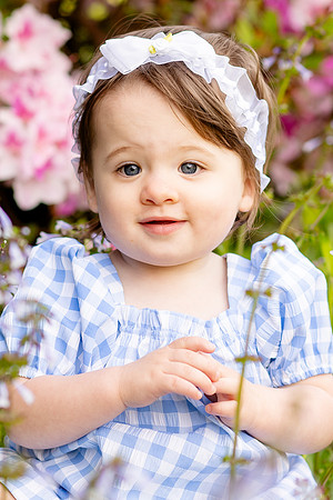 Harper-2
