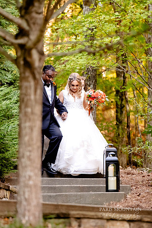 Indigo Falls Wedding Photogrpaher-117