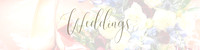 White and Blue Minimalist Freelance Web Developer LinkedIn Banner