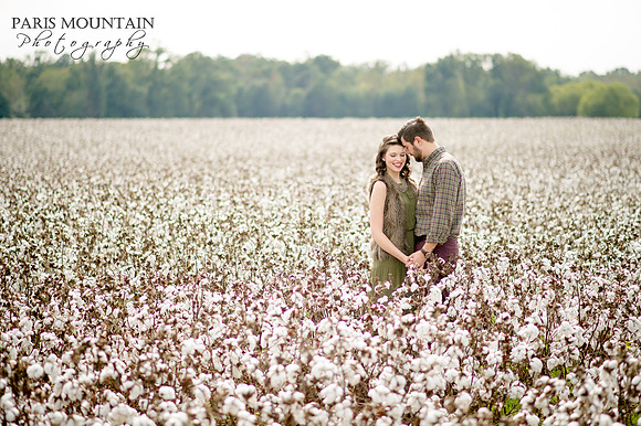 Cotton Field Engagement 3