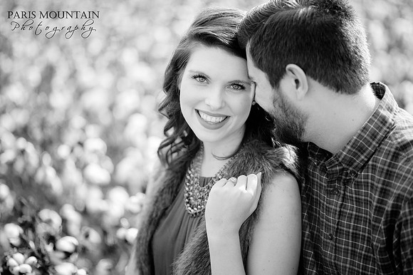 Cotton Field Engagement 4