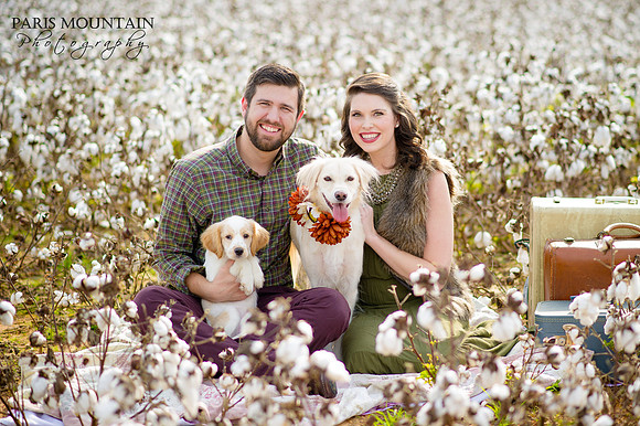 Cotton Field Engagement 7