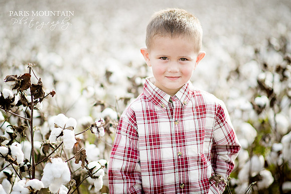 Cotton Field Family Portraits 3