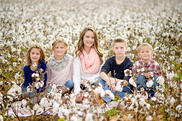 Cotton Field Family Portraits 8