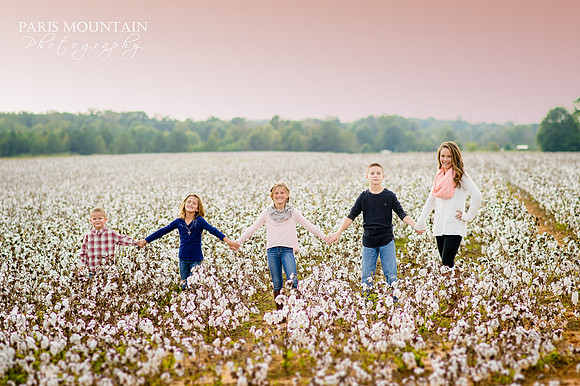 Cotton Field Family Portraits 1