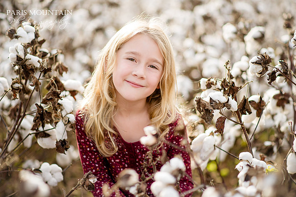 Cotton Field Family Portraits 3