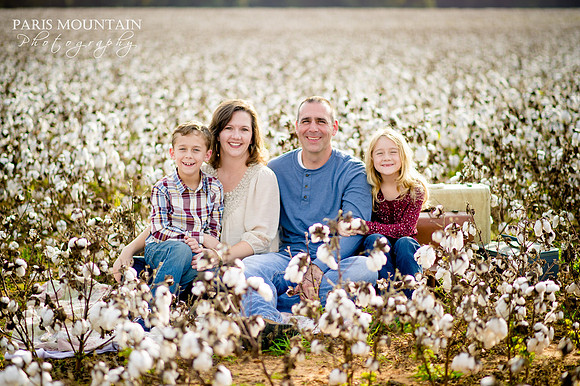 Cotton Field Family Portraits 4