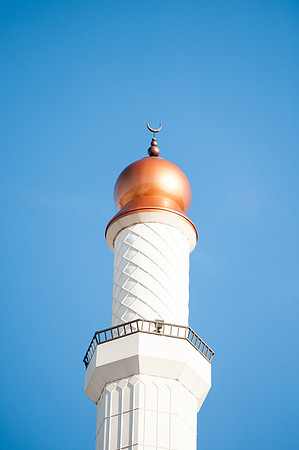 Reja-190