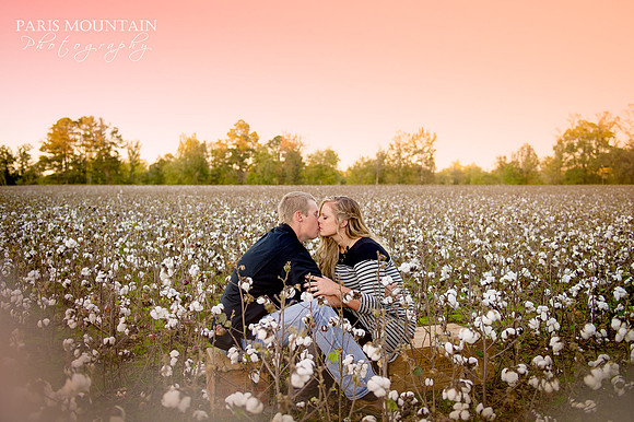 Cotton Engagement 1