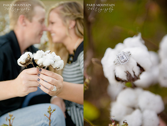 Cotton Engagement 2