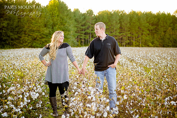 Cotton Engagement 7