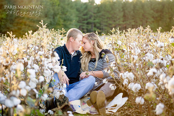 Cotton Engagement 8