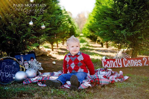 Christmas Tree Farm 4