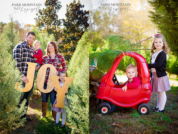 Christmas Tree Farm 1