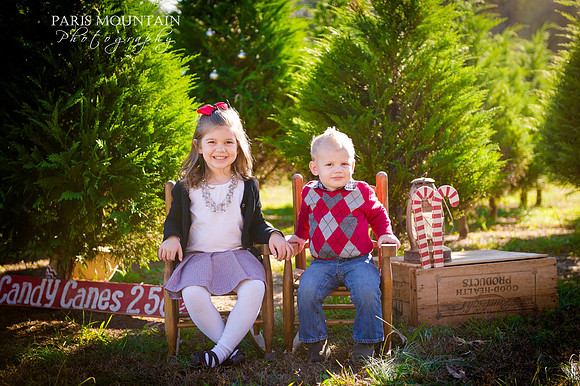 Christmas Tree Farm 6