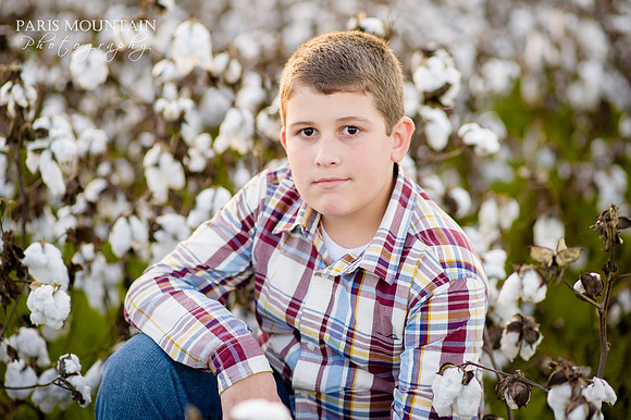 Cotton_Field_Family 6