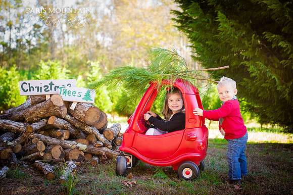 Christmas Tree Farm 2